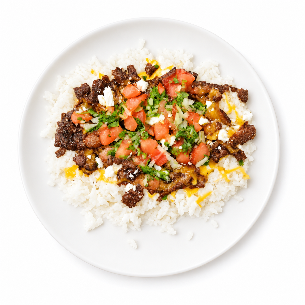 CARNE ASADA RICE BOWL on a white plate