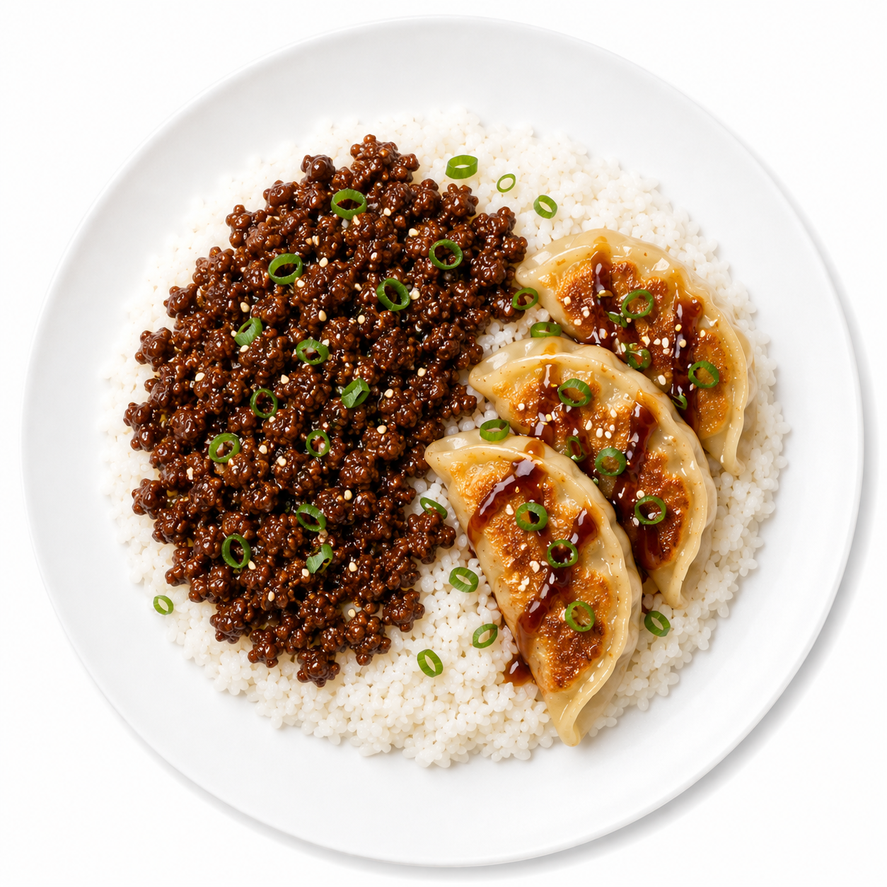 TERIYAKI GROUND BEEF & CHICKEN DUMPLINGS